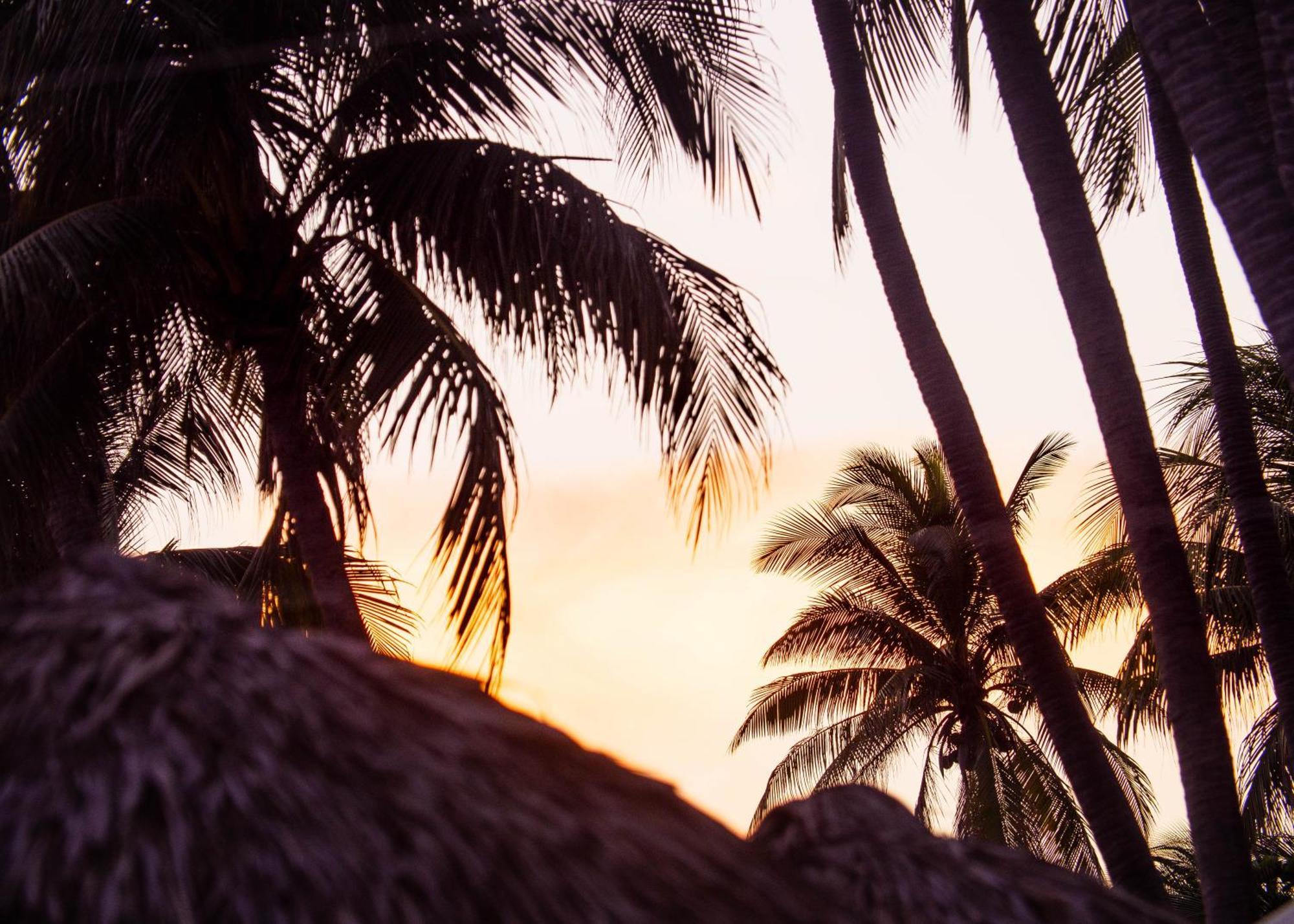 Almare Zonte - Beachfront Glamping Hotel الزونت المظهر الخارجي الصورة